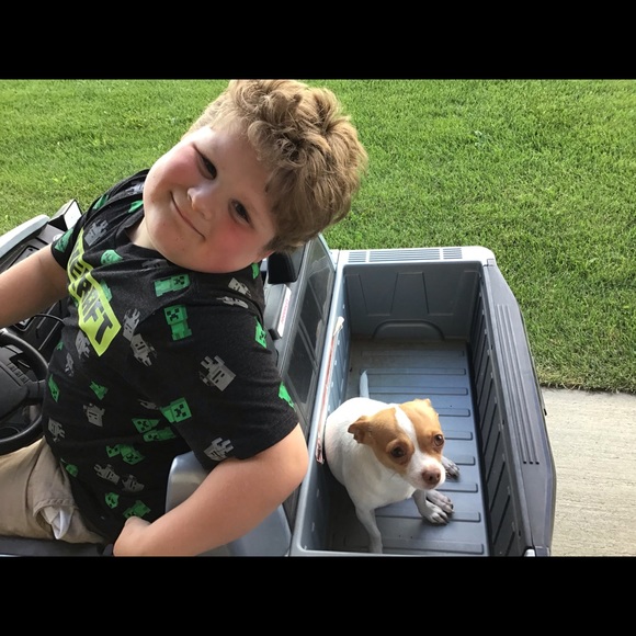 Meet your Posher, Laura - Picture 6 of 13